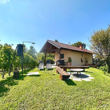 Holiday House Tomajna Podlehnik 外观 照片